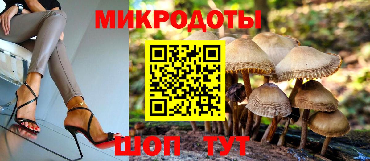Псилоцибиновые грибы GOLDEN TEACHER  Галлюциногенные грибы Cubensis  Щёлково  Вход с VPN 