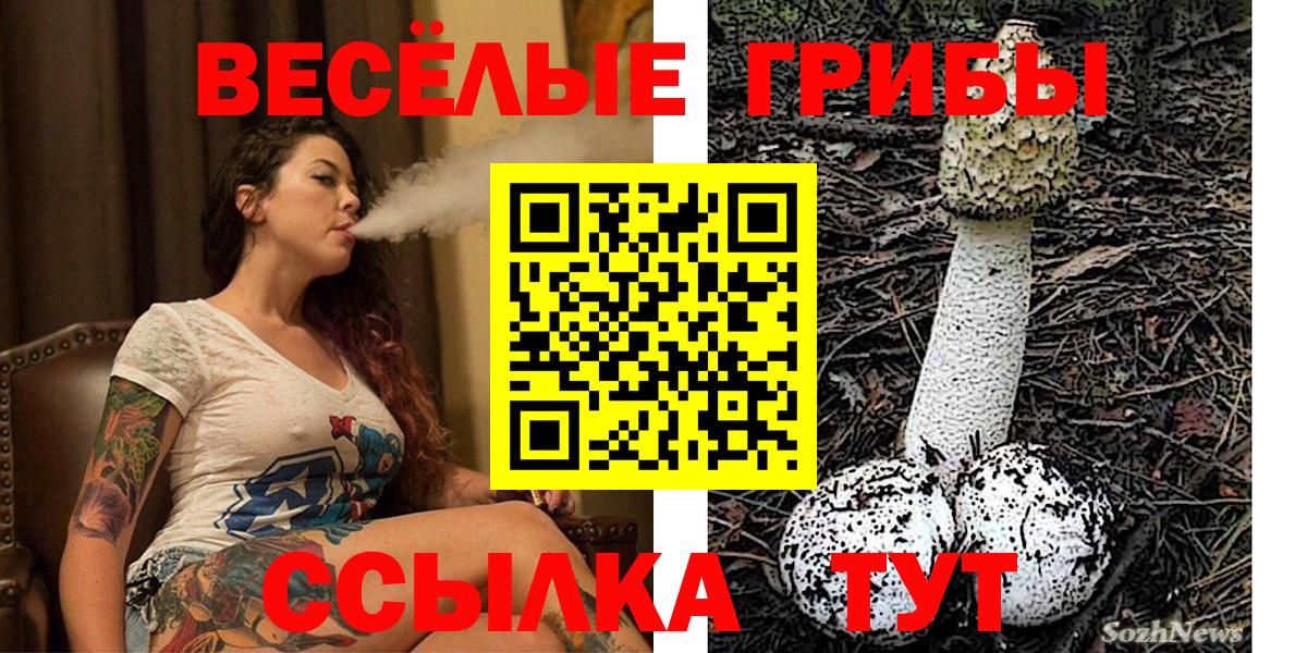 Псилоцибиновые грибы мухоморы Щёлково
